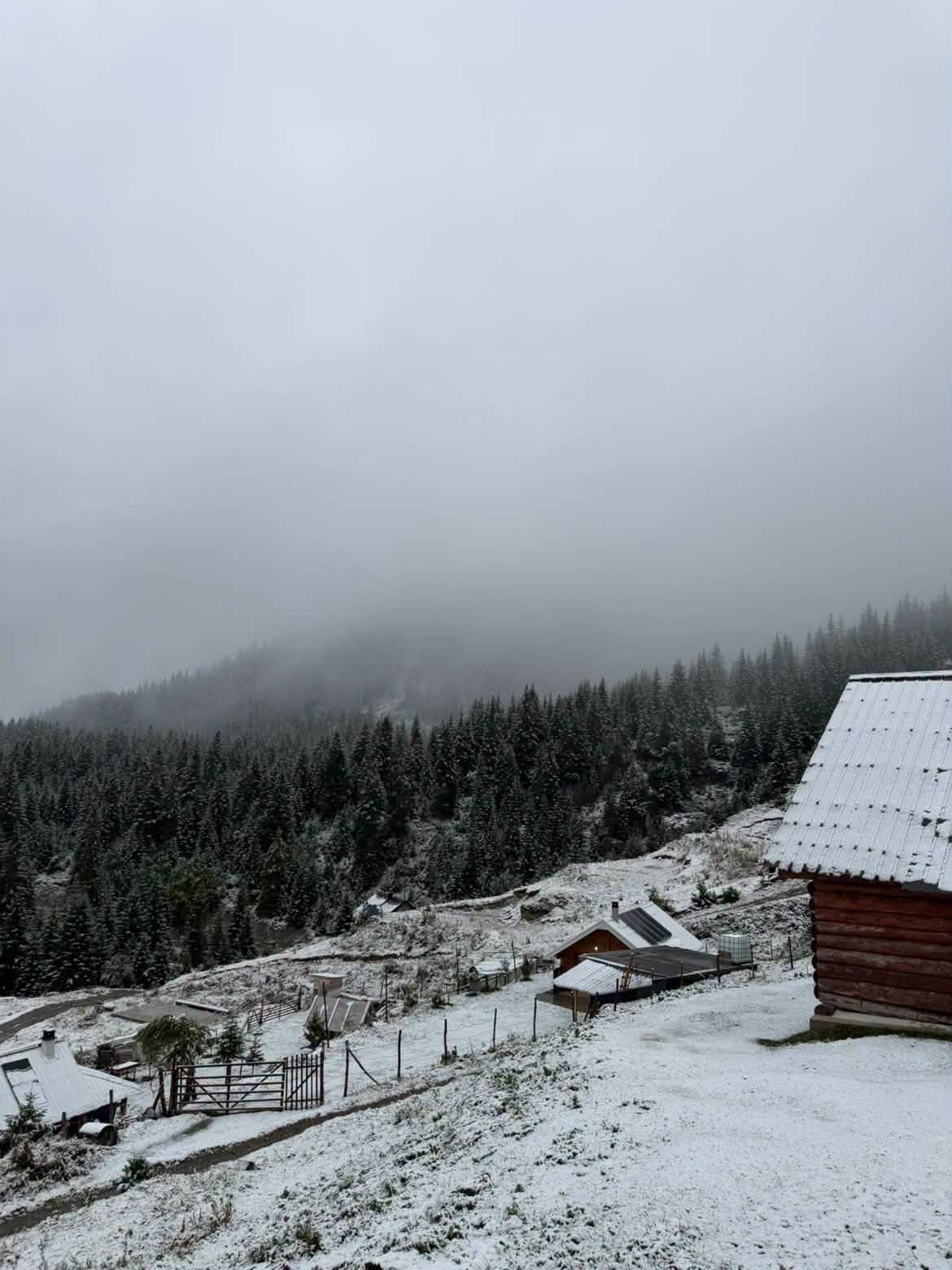 Bjeshkët e Junikut sot… ❄️🤍 - Foto 6